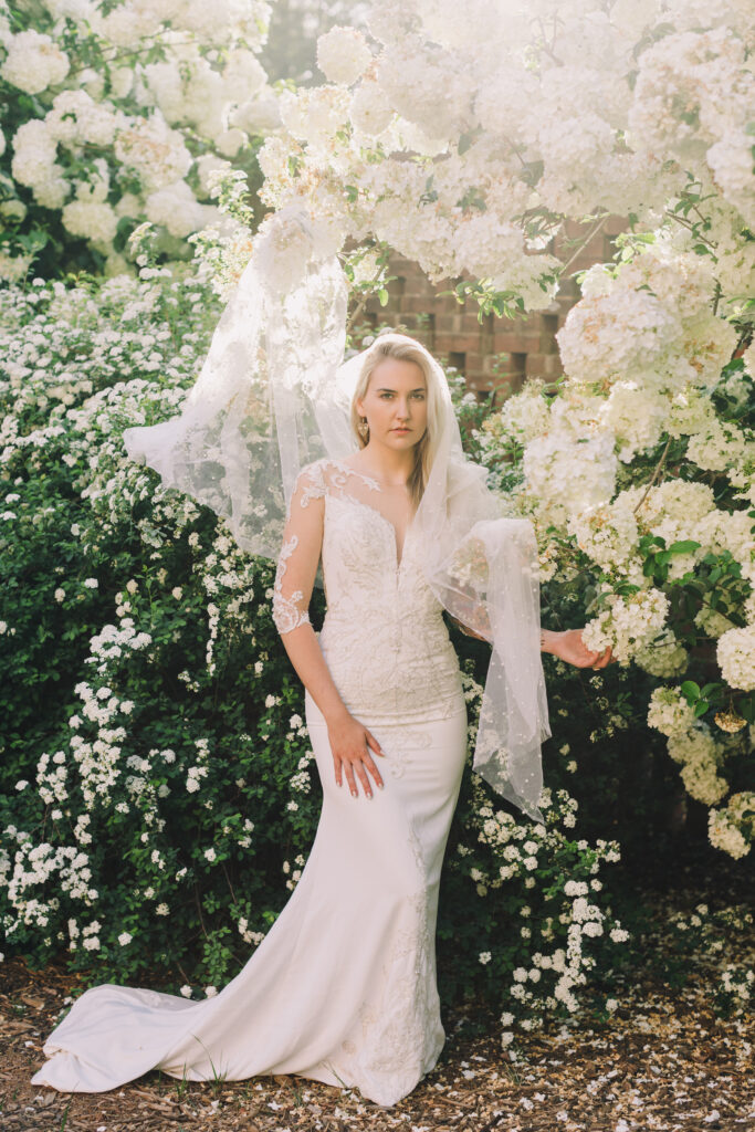 Bridal portrait framed by blooming white flowers Furman University one of the easy photo spots in Greenville SC – Dani Lacey Photographs