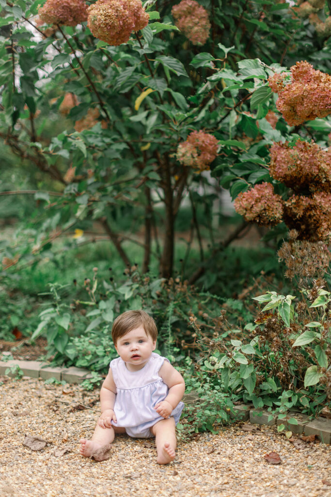 A baby sits near blooming flowers during Greenville SC Family Portraits at Furman University. Dani Lacey Photographs.