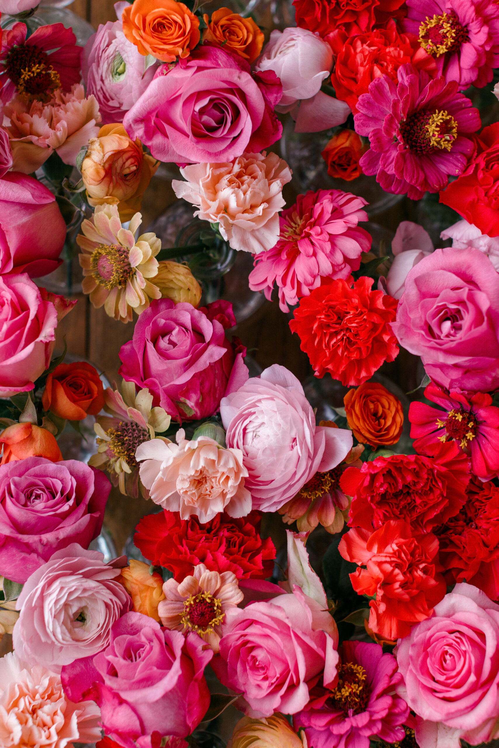 Close-up of peach and coral garden roses in bloom, photographed for a South Carolina wedding.