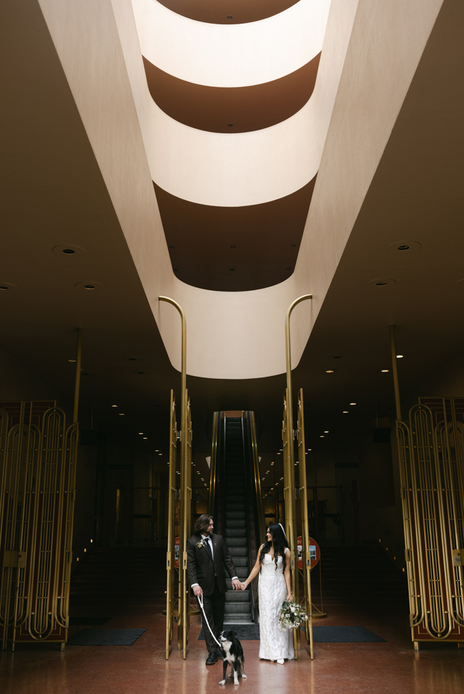couple holding hands with dog