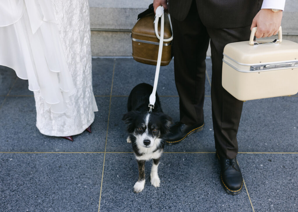 Dog standing between bride and groom