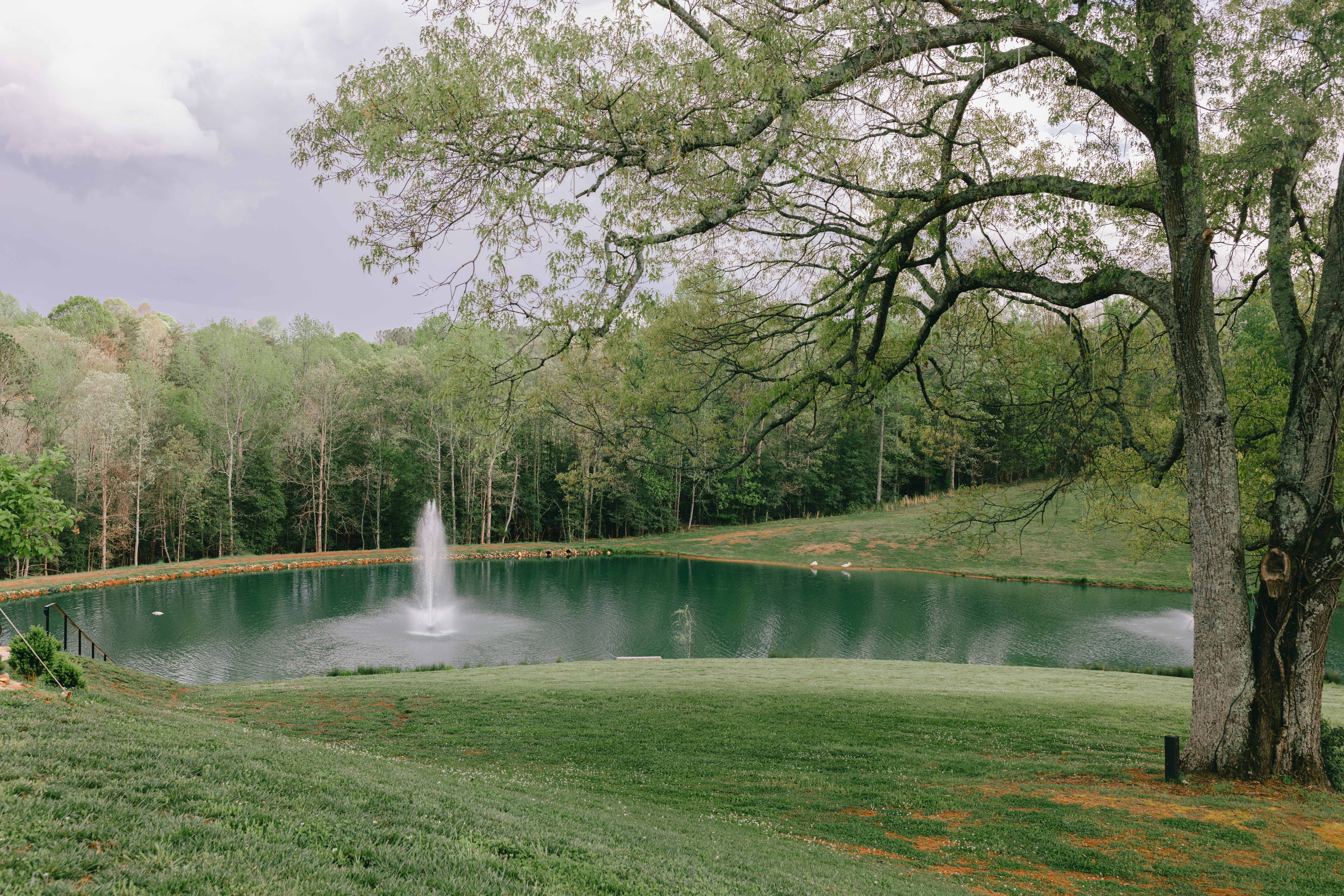 Pond view at Knot Hill wedding venue landscape