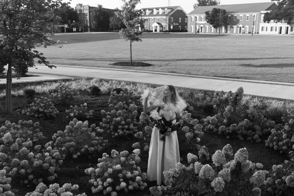 Veiled bride standing among courthouse hydrangeas